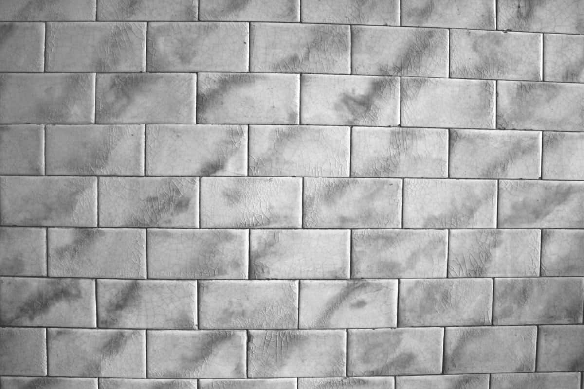 floor tile and wall tiles | buy at a cheap price 